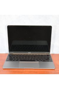 Apple MacBook9,1 Intel(R) Core(TM) m5-6Y54 CPU @ 1.20GHz 8 GBytes Flash Grade:B