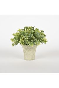 MSPCI Artificial Greenery Plant in Decorative Pot 7"x7"x7"