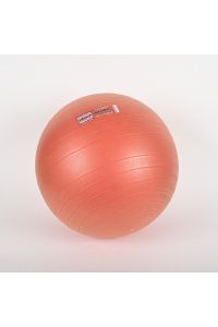Power Systems VersaBall Stability Exercise Ball 55 cm 22" Burst Resistant