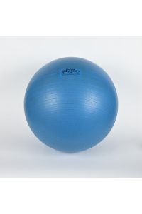 Thera-Band Pro Series SCP Stability Exercise Ball 75 cm 30" Blue