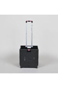 Black Folding Rolling Shopping Cart, Collapsible Storage Bin, 16"X17"x41"