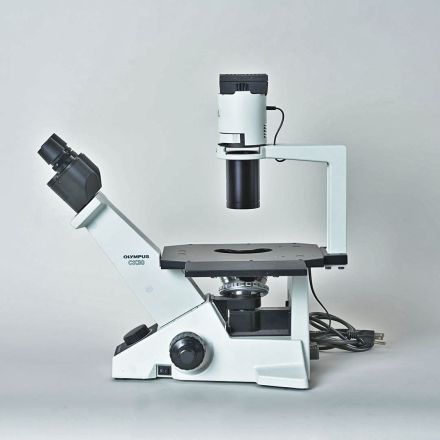 B120556