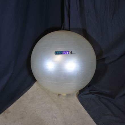 GoFit 65cm Exercise Ball White Rubber