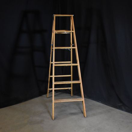 Michigan Ladder Co. Stepladder Natural Colored Wood Type I 250 lbs. 6'