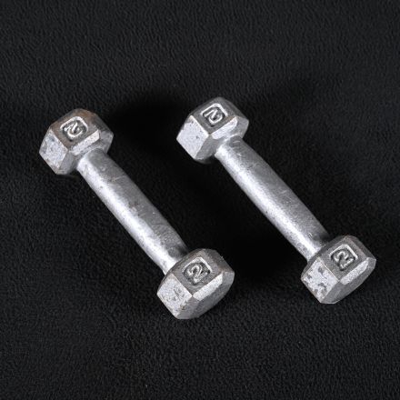 Pair of 2 lb. Dumbbells