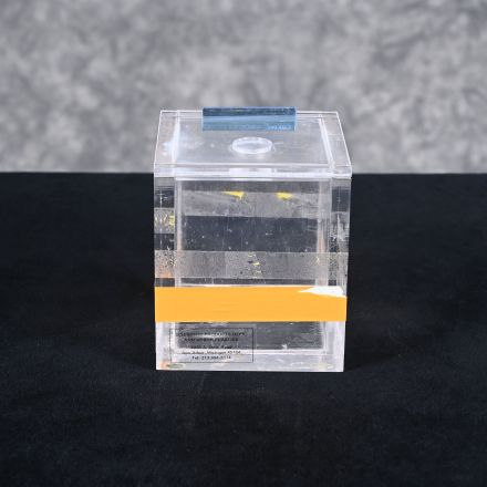 Ann Arbor Plastics Lab Waste Container 5/8"x5"x6.5"