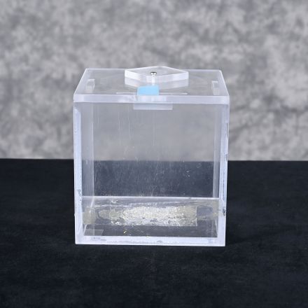 Lab Waste Container 7"x7"x7.5"