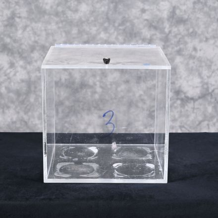 Lab Waste Container 13"x13.5"x13"