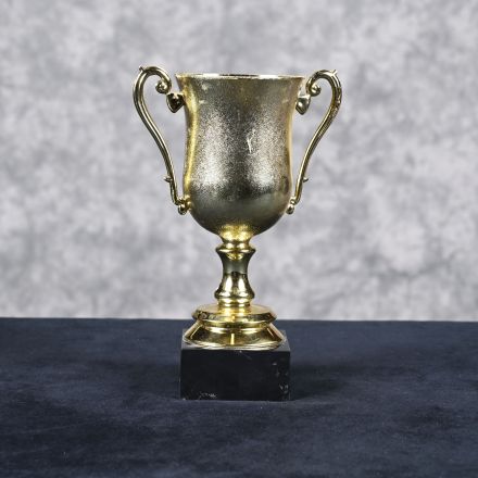 Gold Colored Plastic Trophy 6.5"x10"