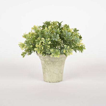 MSPCI Artificial Greenery Plant in Decorative Pot 7"x7"x7"