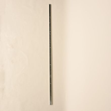 84407