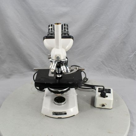 Zeiss Trinocular Microscope